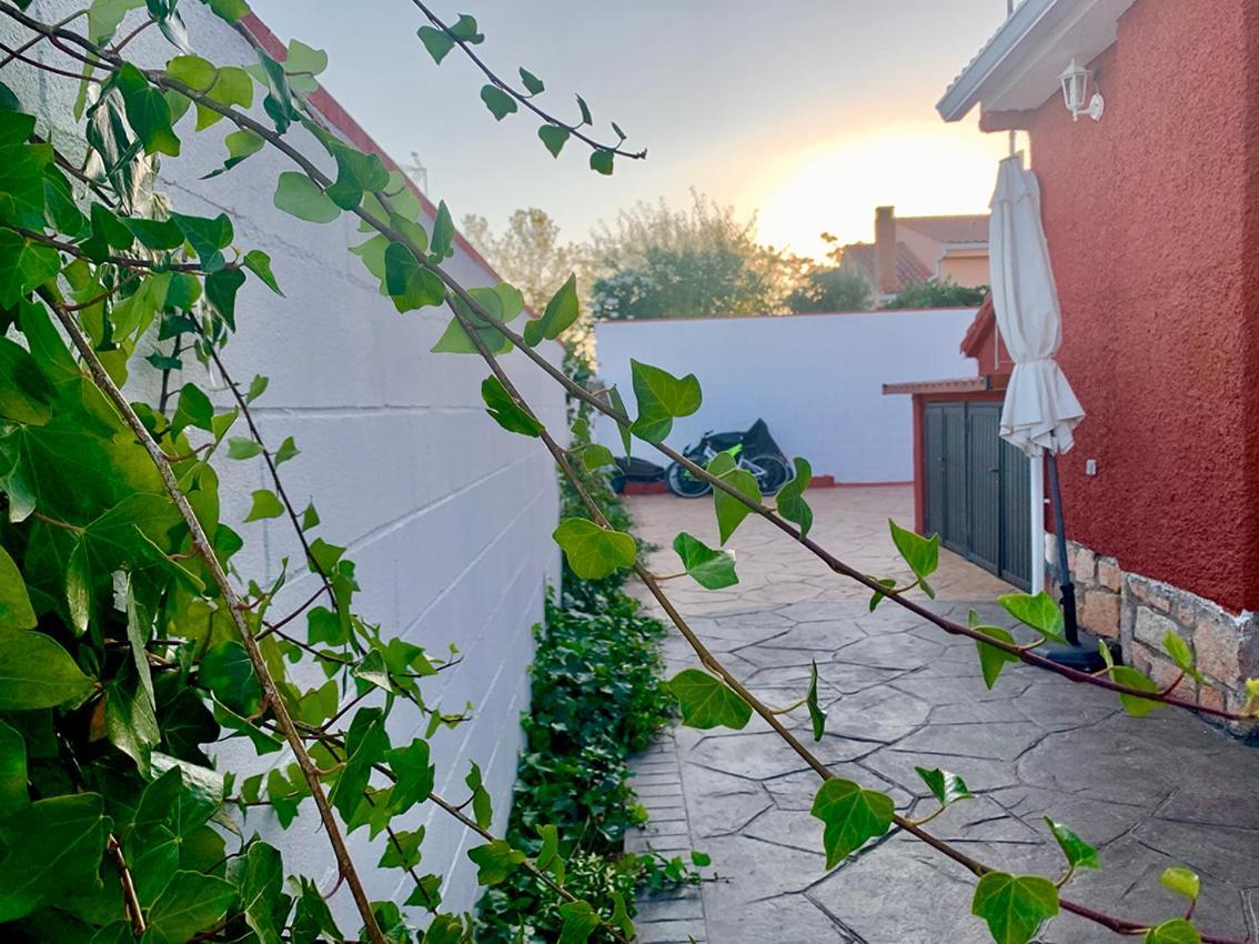 Lacasitadelapraderapuntoes Torremocha de Jarama Exteriér fotografie